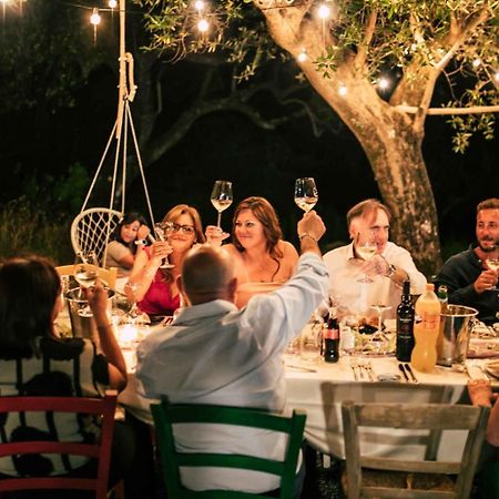 Tenuta Terre Di Bosco Oasi Di Relax Nel Cilento San Giovanni a Piro Εξωτερικό φωτογραφία