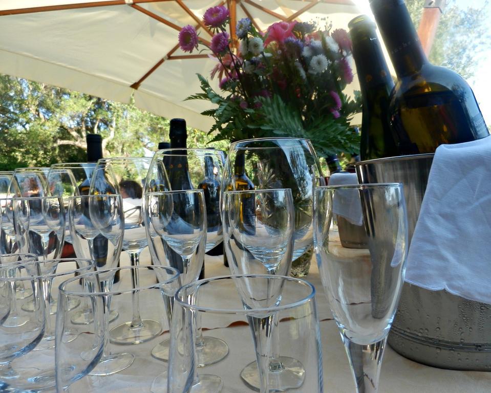 Tenuta Terre Di Bosco Oasi Di Relax Nel Cilento San Giovanni a Piro Εξωτερικό φωτογραφία