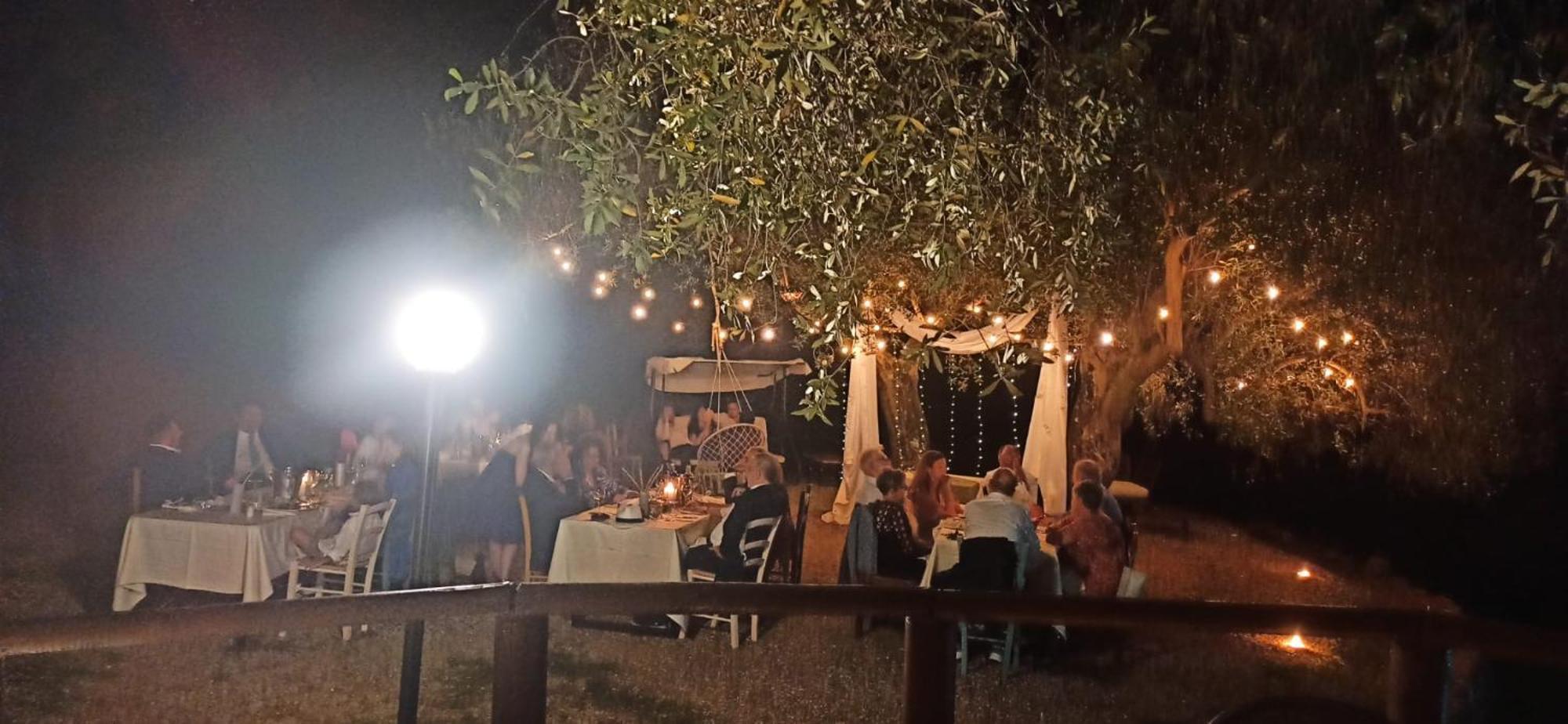 Tenuta Terre Di Bosco Oasi Di Relax Nel Cilento San Giovanni a Piro Εξωτερικό φωτογραφία