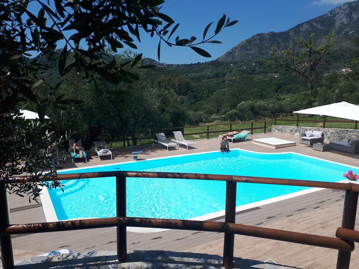 Tenuta Terre Di Bosco Oasi Di Relax Nel Cilento San Giovanni a Piro Εξωτερικό φωτογραφία