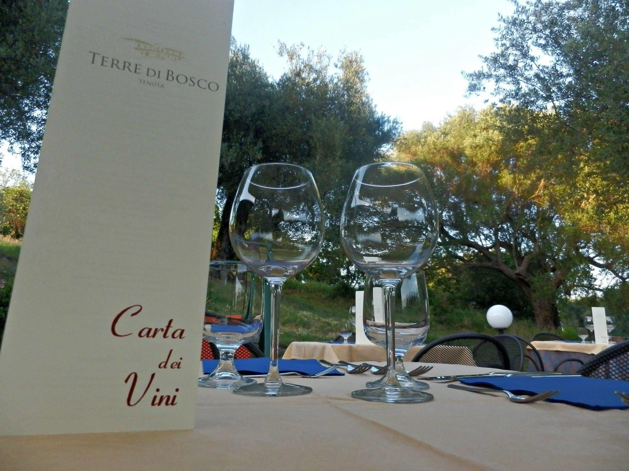 Tenuta Terre Di Bosco Oasi Di Relax Nel Cilento San Giovanni a Piro Εξωτερικό φωτογραφία
